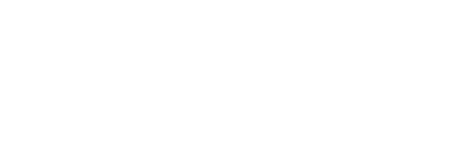 New Zealand Institute of Business Studies